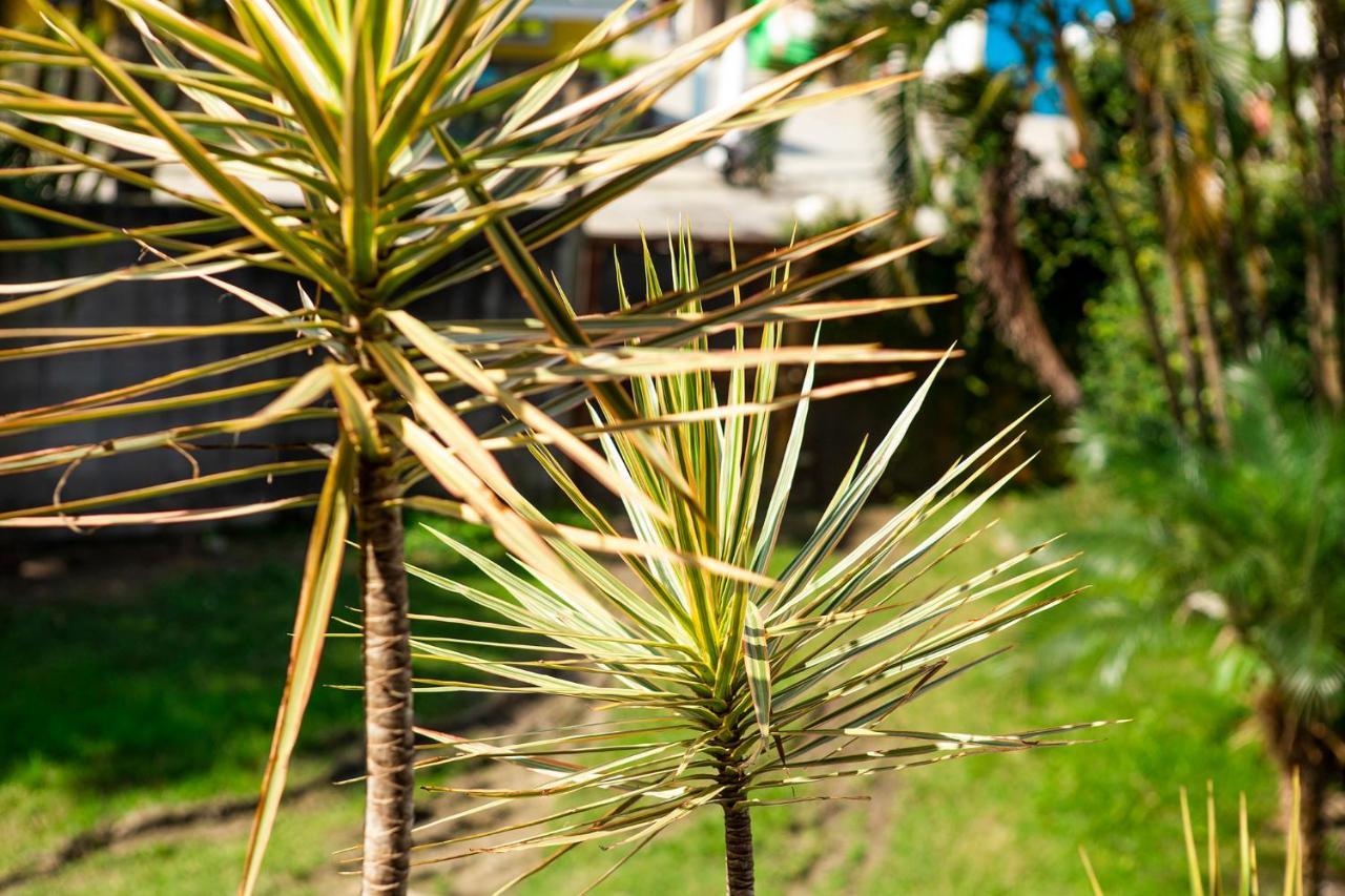 Suites Las Flores Maresias Exteriör bild